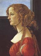 Sandro Botticelli Porfile of a Young Woman (mk45) oil painting